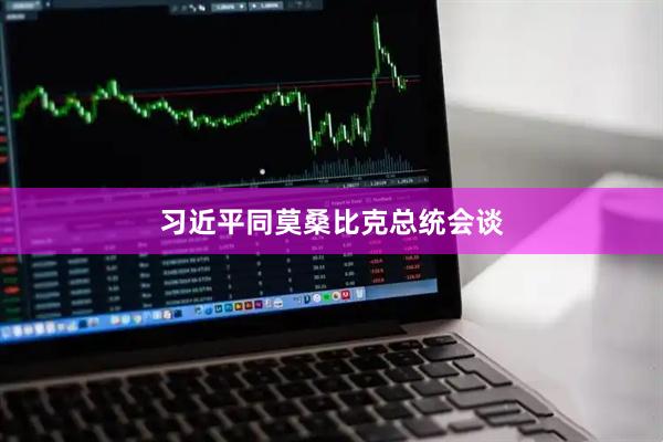 习近平同莫桑比克总统会谈