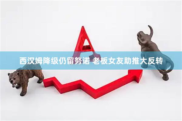 西汉姆降级仍留努诺 老板女友助推大反转